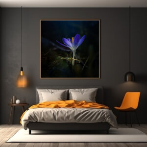 Poster: Blue Crocus