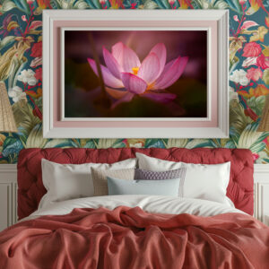 Poster: Wasserrose
