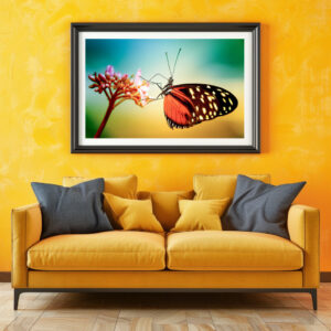 Poster: Butterfly