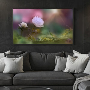 Poster: White flower