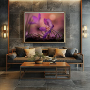 Poster: pink crocus