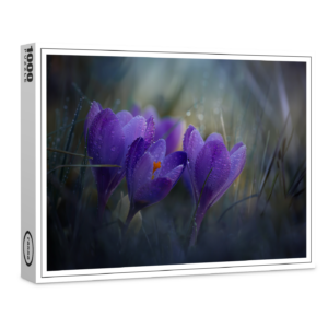 raxxa Premium-Puzzle: Erwachen