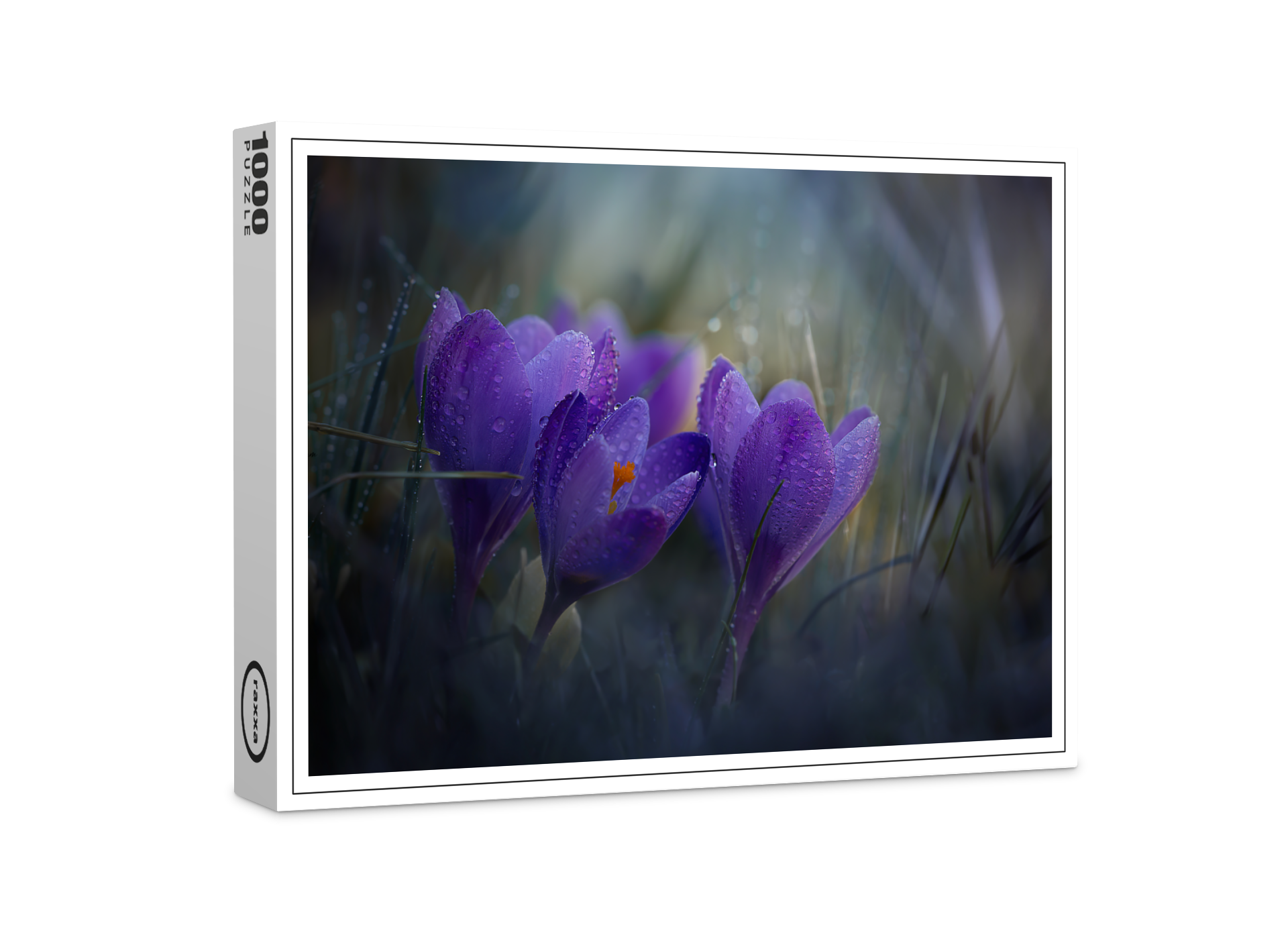 raxxa Premium-Puzzle: Erwachen