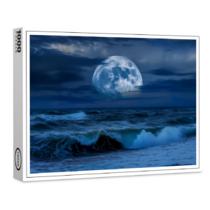 raxxa Premium-Puzzle: Blaue Nacht