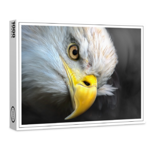 raxxa Premium-Puzzle: Adlerblick