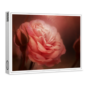 raxxa Premium-Puzzle: Rose