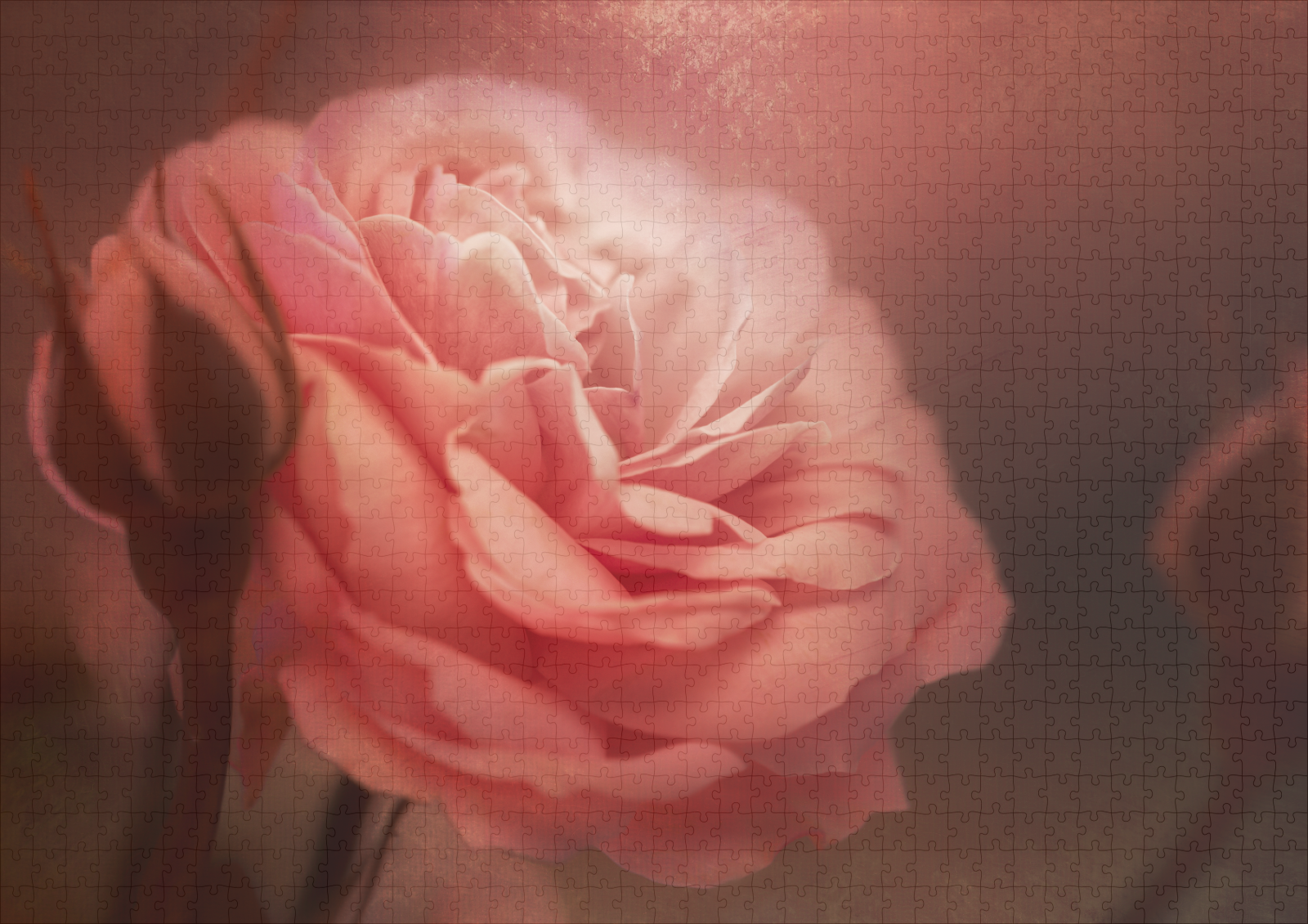 raxxa Premium-Puzzle: Rose - immagine 2