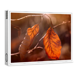 raxxa Premium-Puzzle: Autumn