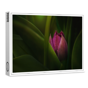 raxxa Premium-Puzzle: Versteckt