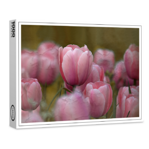raxxa Premium-Puzzle: Tulpen