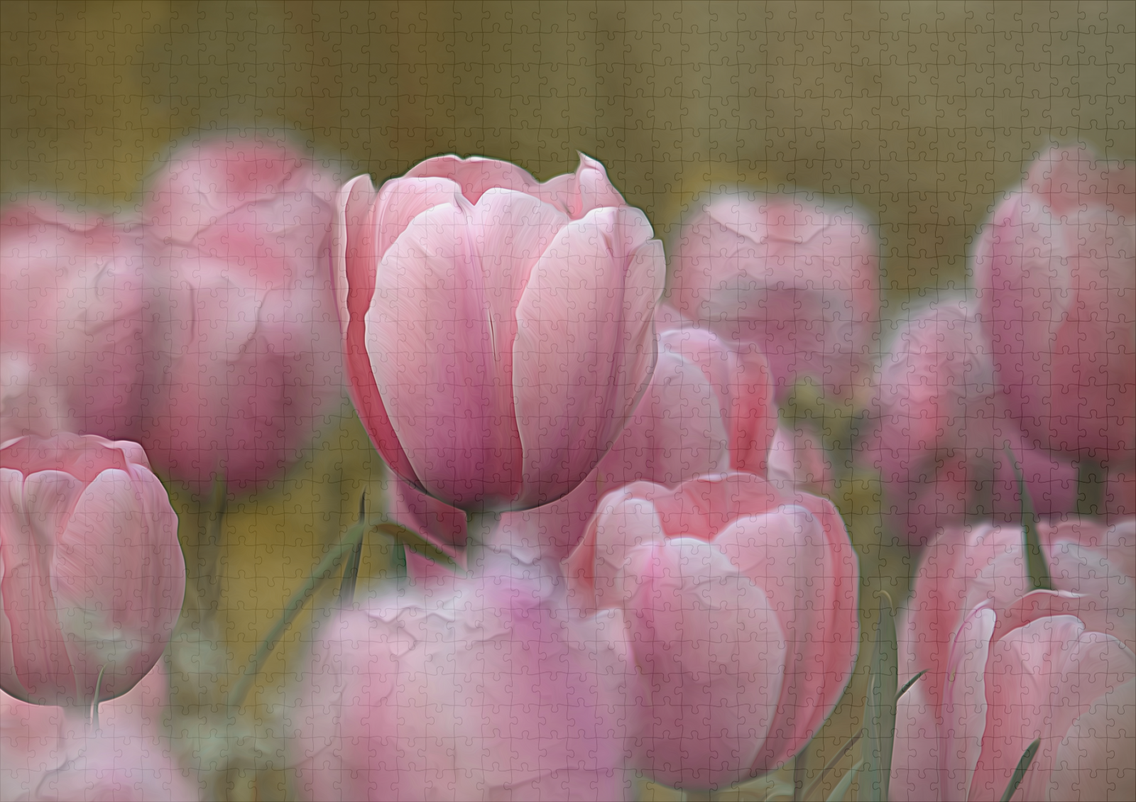 raxxa Premium-Puzzle: Tulpen - Imagen 2