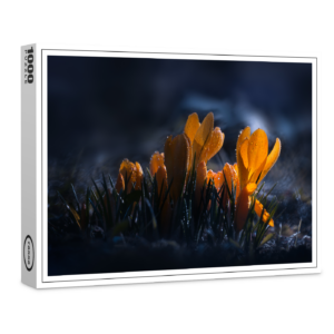 raxxa Premium-Puzzle: Mitternacht