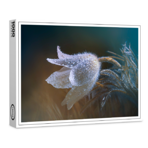 raxxa Premium-Puzzle: Flauschiges Blümchen