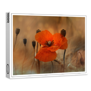 raxxa Premium-Puzzle: Mohnblume