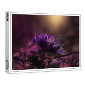 raxxa Premium-Puzzle: Lila Sinfonie