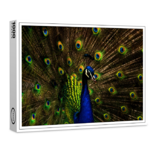 raxxa Premium-Puzzle: Pfau