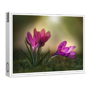 raxxa Premium-Puzzle: Pink spring
