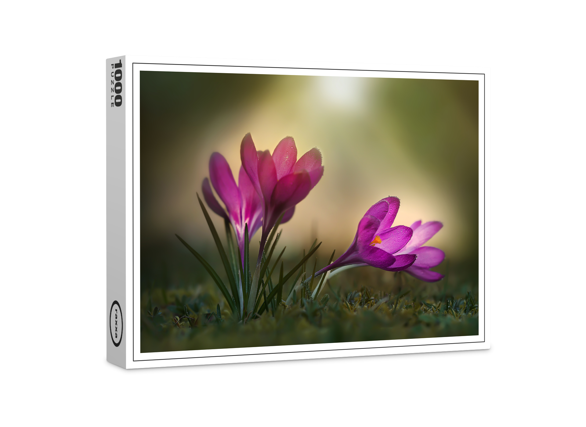 raxxa Premium-Puzzle: Pink spring