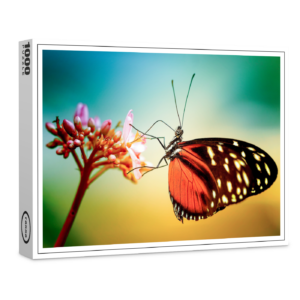 raxxa Premium-Puzzle: Butterfly