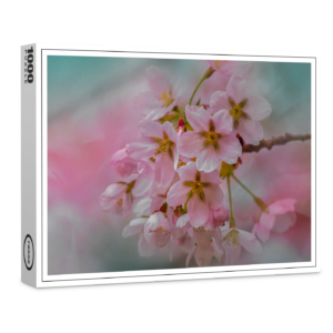 raxxa Premium-Puzzle: Frühlingsblüten