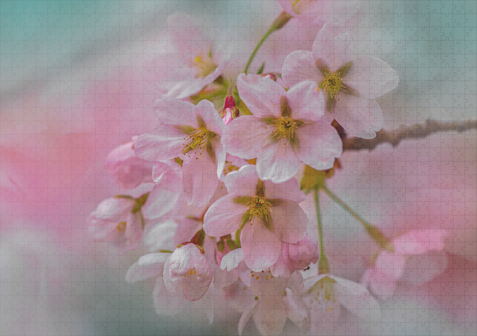 raxxa Premium-Puzzle: Frühlingsblüten - immagine 2