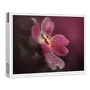 raxxa Premium-Puzzle: Wildrose