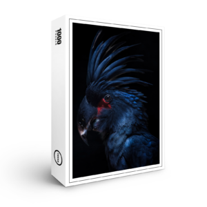 raxxa Premium-Puzzle: Blue Parot