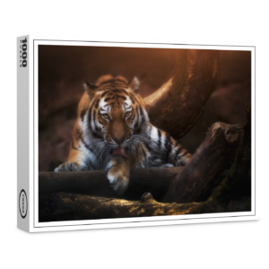 raxxa Premium-Puzzle: I see you