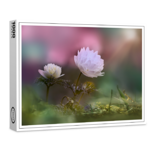 raxxa Premium-Puzzle: White flower