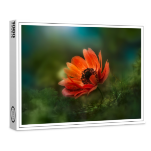 raxxa Premium-Puzzle: Fire flower