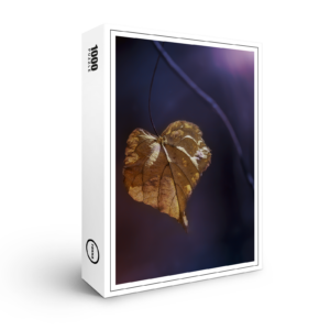raxxa Premium-Puzzle: Herzblatt