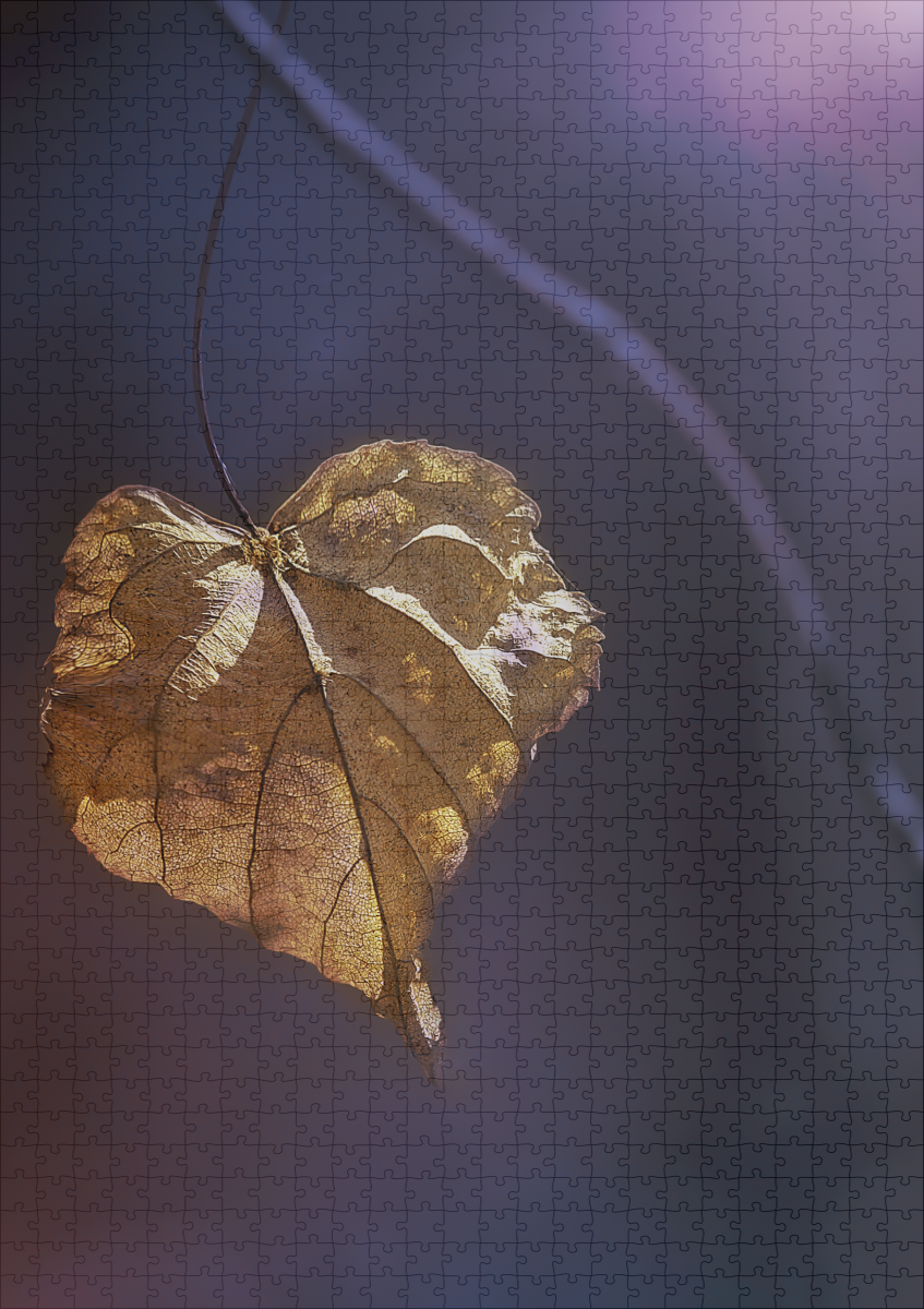 raxxa Premium-Puzzle: Herzblatt - Image 2