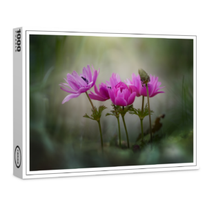 raxxa Premium-Puzzle: pink spring
