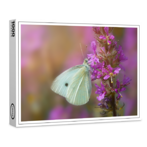 raxxa Premium-Puzzle: In the flower country