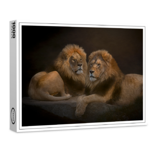 raxxa Premium-Puzzle: Brothers
