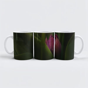 raxxa Premium-Tasse: Versteckt
