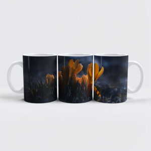 raxxa Premium-Tasse: Mitternacht