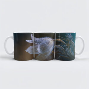 raxxa Premium-Tasse: Flauschiges Blümchen