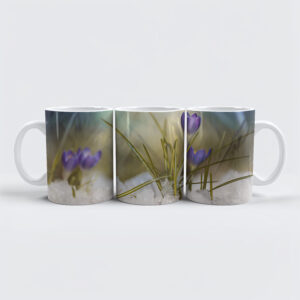 raxxa Premium-Tasse: Krokus im Schnee