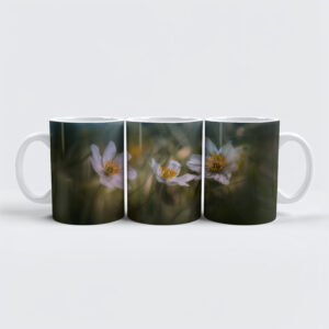 raxxa Premium-Tasse: Trio