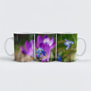 raxxa Premium-Tasse: Blaustern