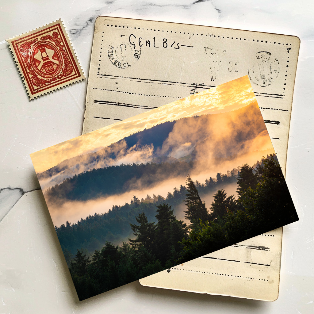 raxxa Postkarte: Sommerabend im Bayerischen Wald