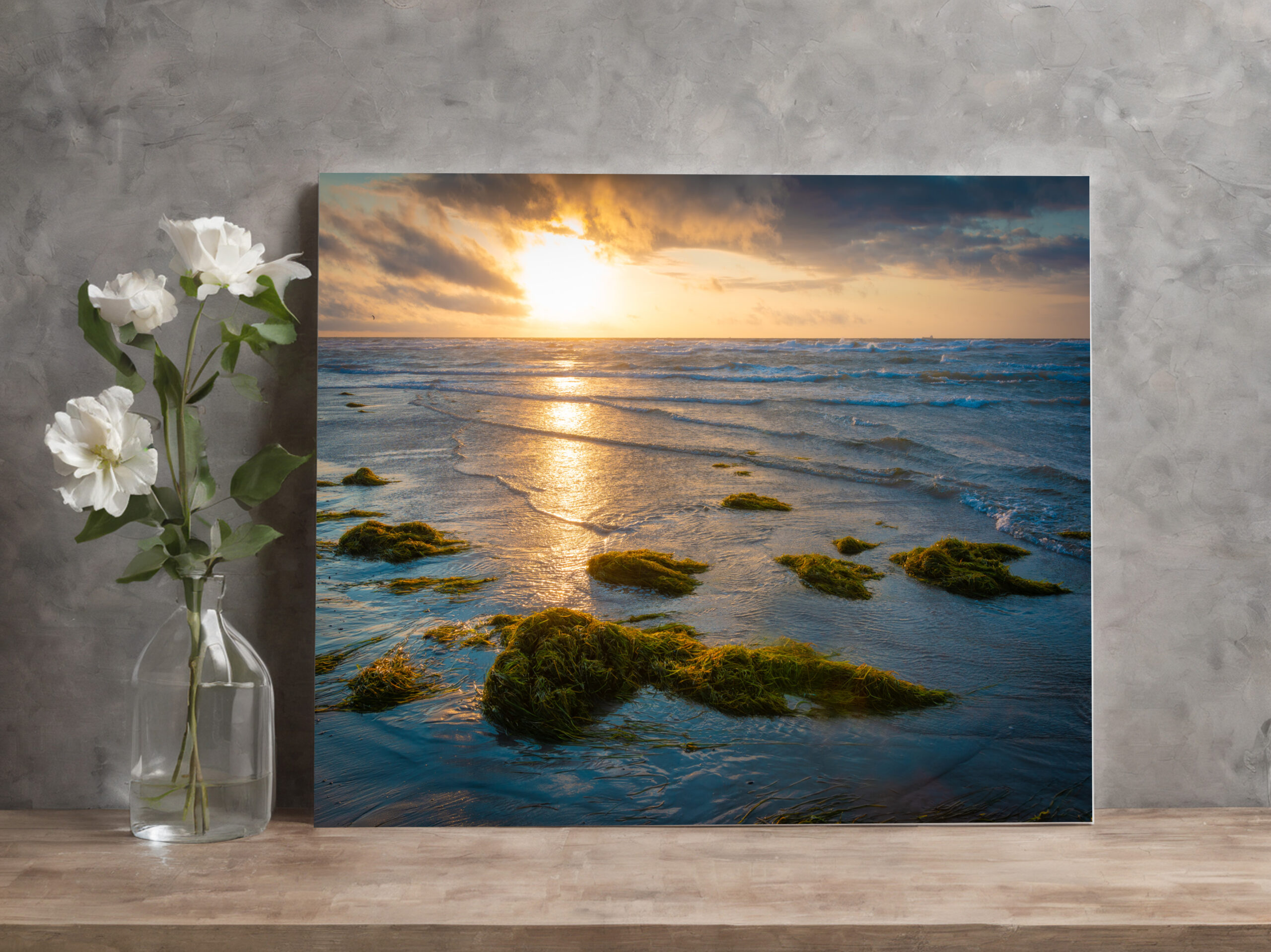 raxxa Canva: Sonnenuntergang an der Ostsee