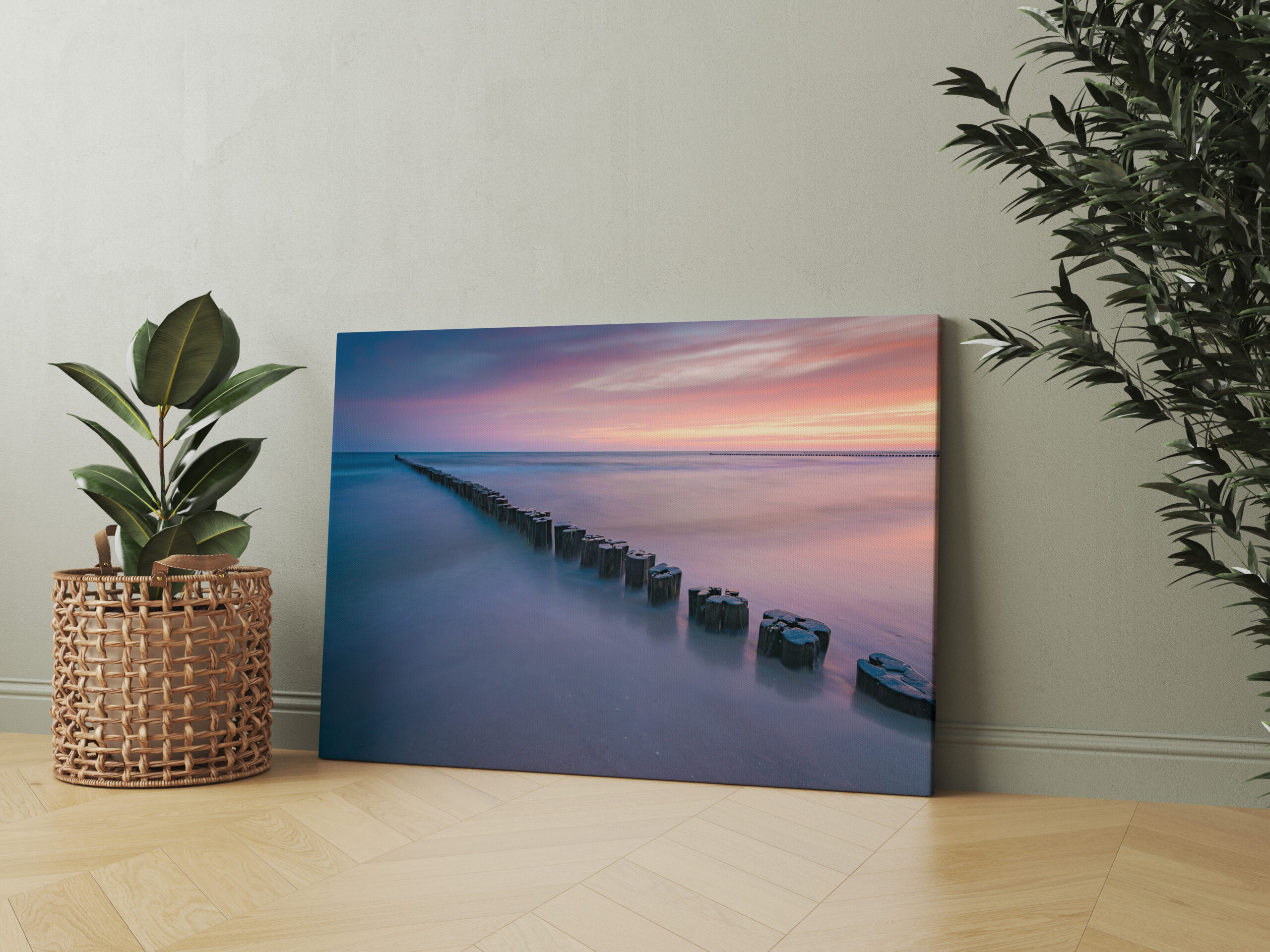 raxxa Canva: Sonnenaufgang in Zingst