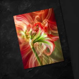 raxxa Postkarte: Erblühe wo dein Licht fällt