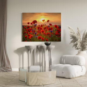 raxxa Canva: Sommer Mohn
