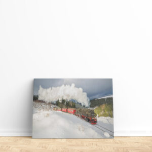 raxxa Canva: Sonderzug der HSB