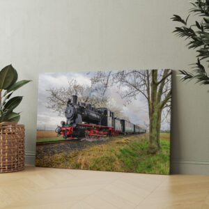 raxxa Canva: Kirschblütenfest der Bergwerksbahn