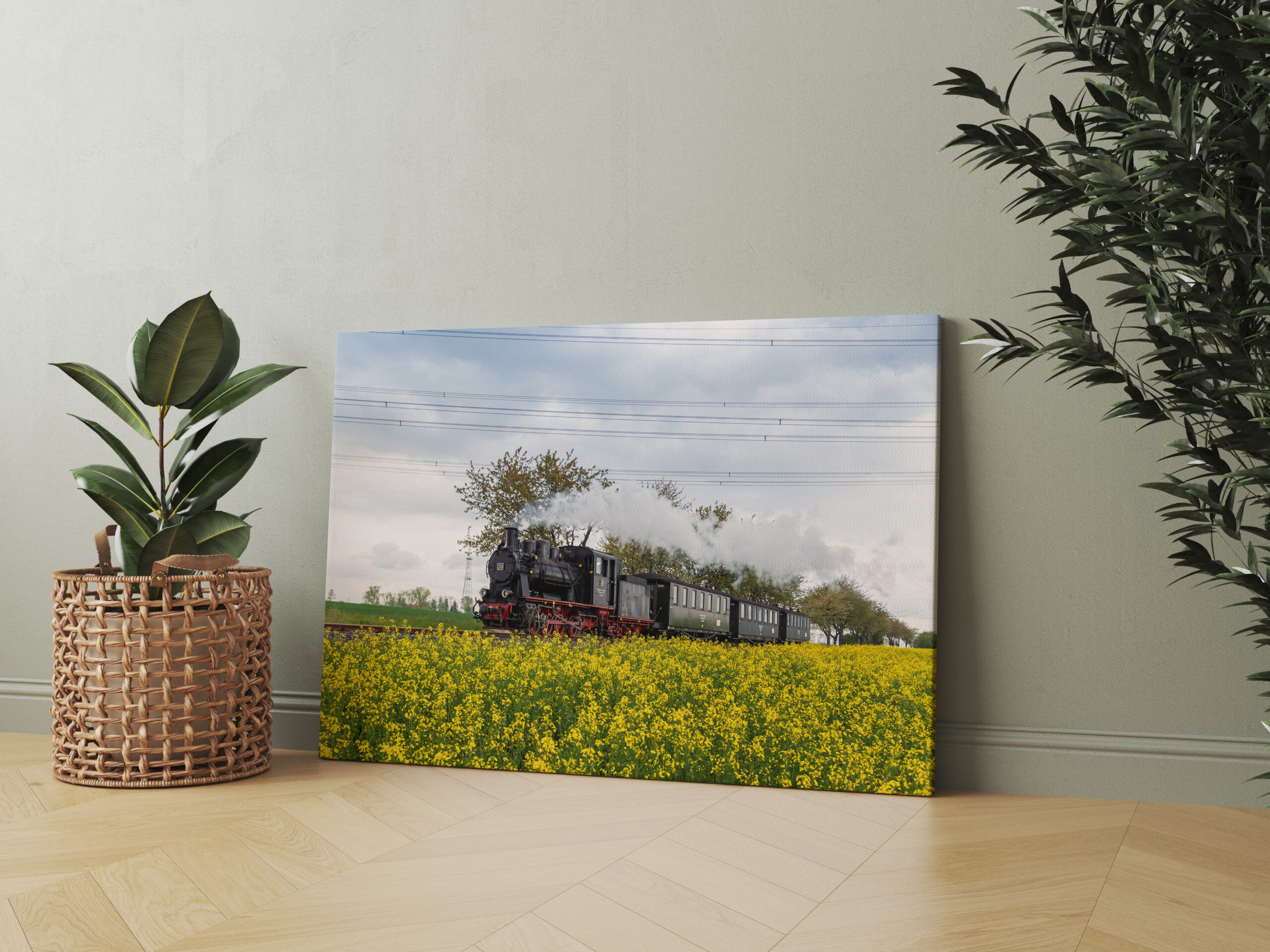 raxxa Canva: Unter Dampf im Raps - immagine 2