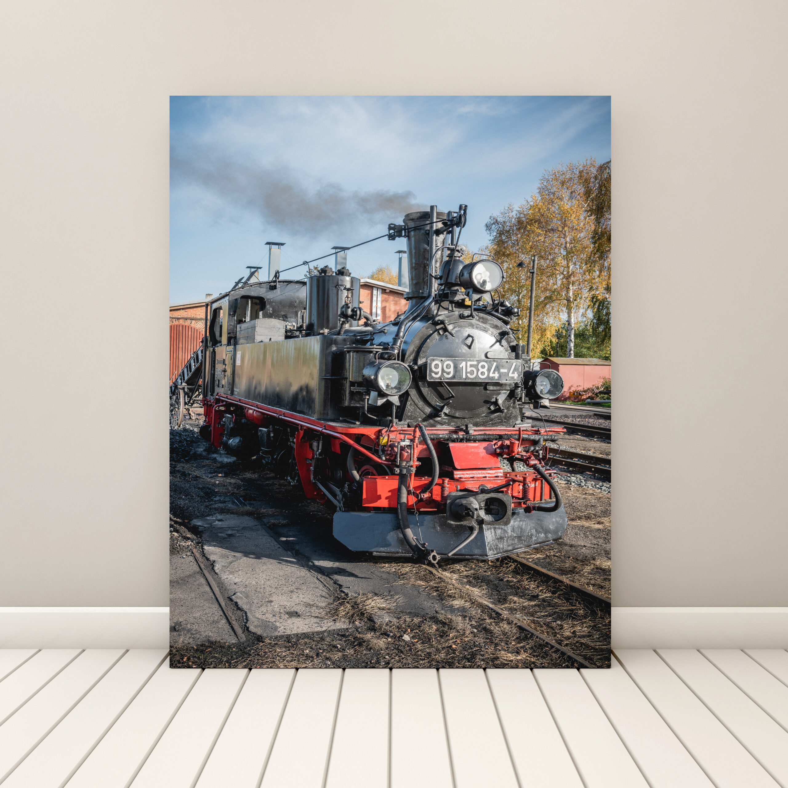 raxxa Canva: Döllnitztalbahn - immagine 2